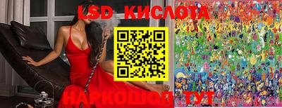 МДПВ Дубна
